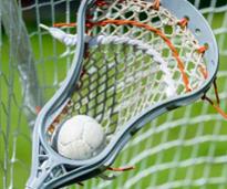 lacross ball in stick