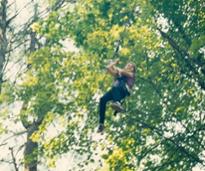young girl ziplining through trees