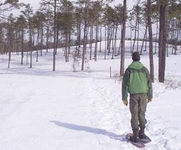 person snowshoeing at the albany pine bush preserve