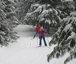 two people cross-country skiing