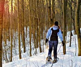 woman snowshoeing in the woods