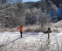 person cross-country skiing