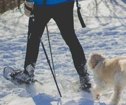 snowshoer with dog