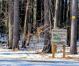 coles woods sign in the winter