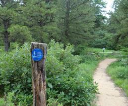 trail marker by a trail