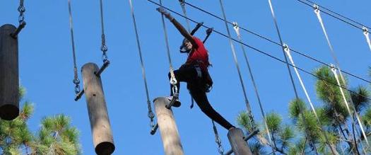 man on treetop course