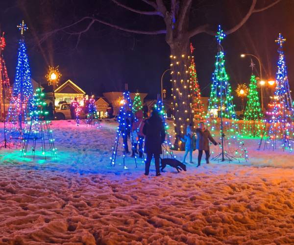 people at holiday lights in the snow