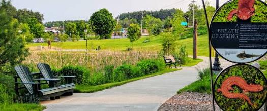 charles r wood park benches and walkway in the spring