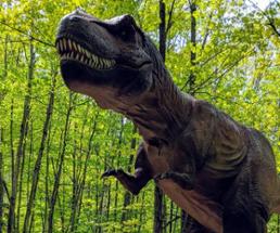 t-rex at dino roar valley at lake george expedition park