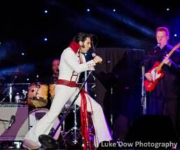 elvis tribute artist