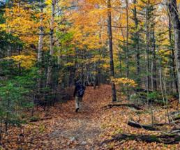 hiker on trail in fall