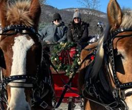 sleigh ride