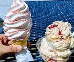 ice cream cone and dish