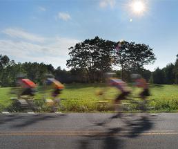 cyclists on a road