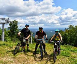 three mountain bikers