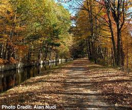 a bike trail in the fall