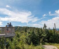 people on a platform at gore mountain in the summer