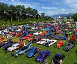 aerial view of car show