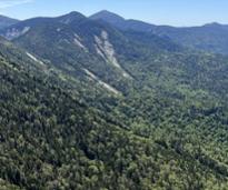 view from summit