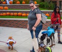 women near pumpkins with dogs in costumes