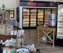 inside a dairy store