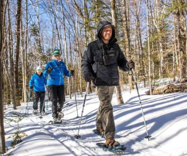 three people snowshoeing