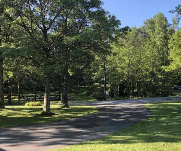 paved trail through a park