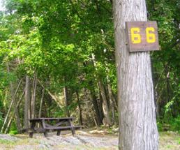 long island campsite 66
