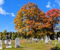 cemetery in the fall
