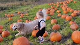 girl and dog running through a pumpkin patch
