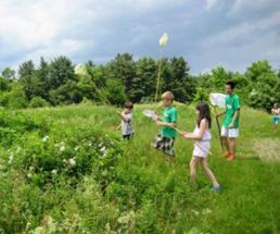 kids searching for butterflies in a field