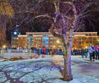 people in city park standing outdoors on winter night