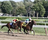 two jockeys on a racetrack