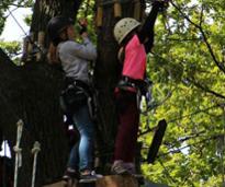 kids on treetop course