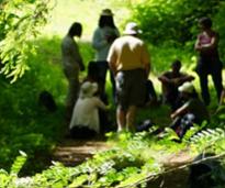 group of people forest bathing in the woods