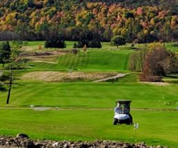 golf cart on a golf course in lake george