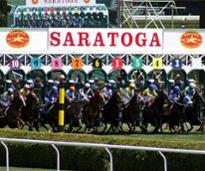 horses at the Saratoga starting gate