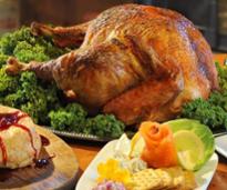 closeup of thanksgiving turkey