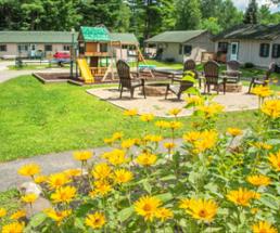 yellow flowers, playground, and cabins at lincoln log colony