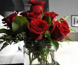 base of red roses in hotel room