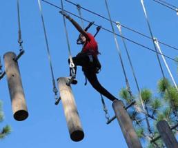 man on treetop course