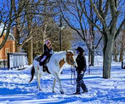 girl riding a pony in the snow