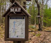 hiking map on tree