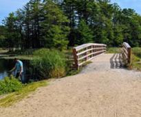 moreau lake state park walking bridge