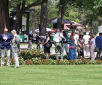 race track crowd