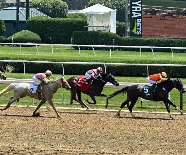 Guide to the 2025 Belmont Stakes at Saratoga Race Course