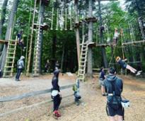 people at treetop adventure course
