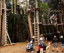 treetop course