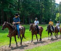 horseback riders in a row