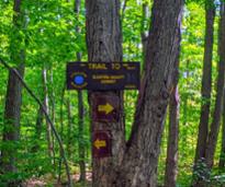 trail sign for inman's pond and sleeping beauty